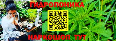 гашик Абакан